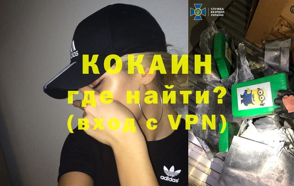 сатива Абаза