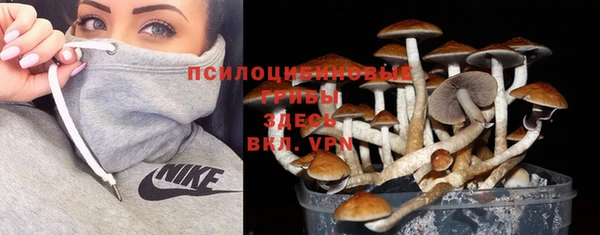 прущая мука Абинск