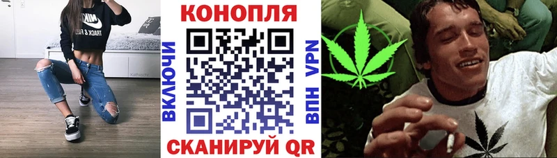 MEGA как войти  Сураж  МАРИХУАНА планчик 